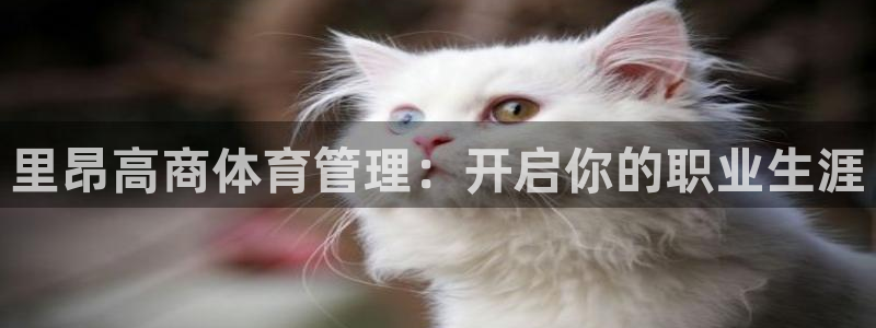 必一体育app下载最新版本