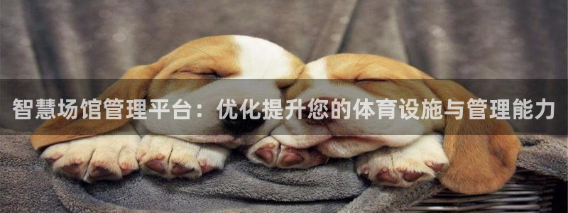 必一体育app下载最