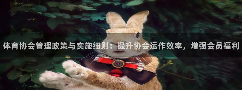 必十二和必一的副作用