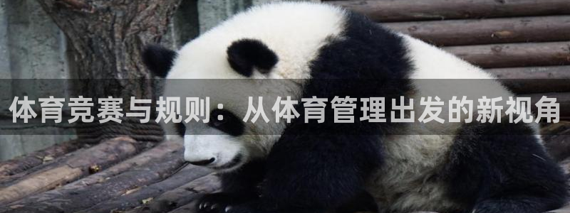 必一体育登录APP下
