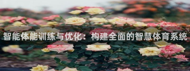 必一体育网页登录版官网：智能体能训练与优化：构建全面的智慧体