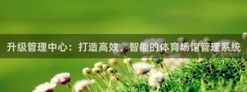 必一体育运动平台官网