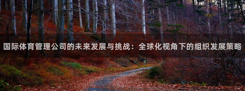 必一运动体育：国际体育管理公司的未来发展与挑战：全球化视角下