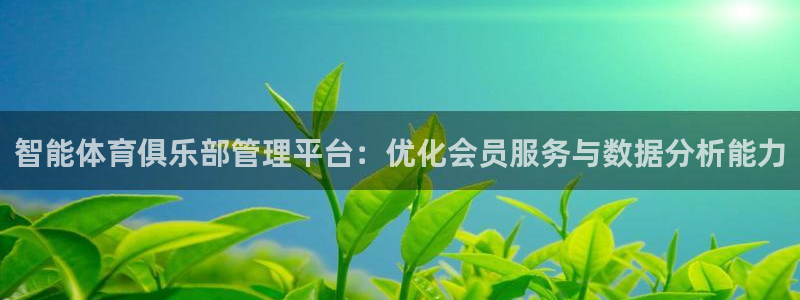 必一体育官网网站：智