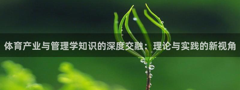 必一体育登录入口AP