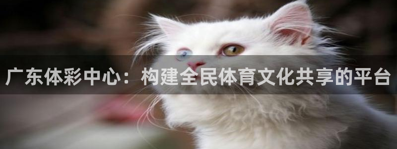 必一体育sport官