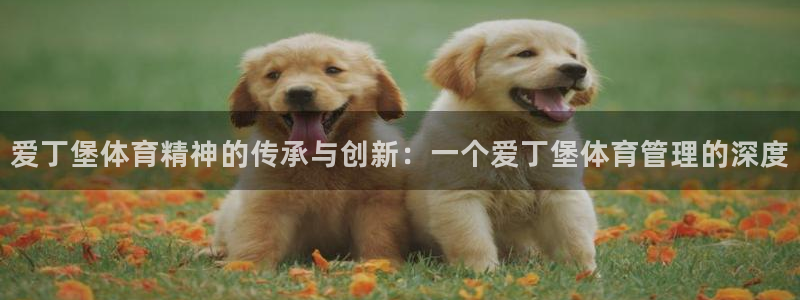 必一体育官方下载入口