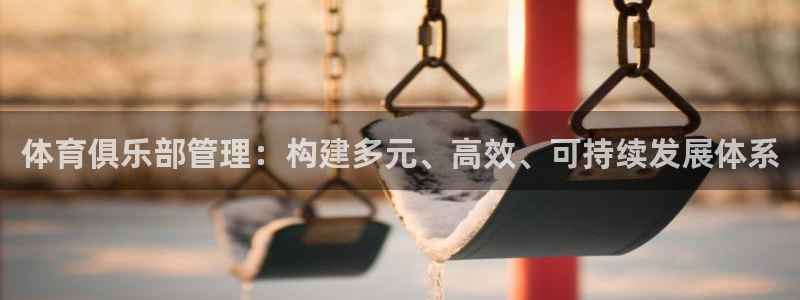 必一体育在线官网：体育俱乐部管理：构建多元、高效、可持续发展