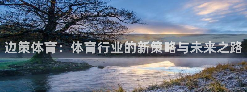 必一体育官网网站：边策体育：体育行业的新策略与未来之路