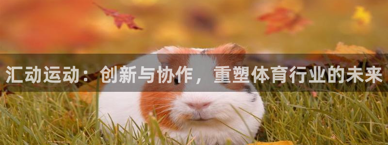b体育必一运动网页版在线登录入口：汇动运动：创新与协作，重塑