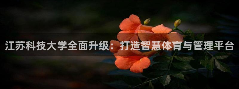 必一体育服下载最新版本更新内容：江苏科技大学全面升级：打造智