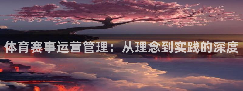 必一体育服下载最新版本更新内容：体育赛事运营管理：从理念到实