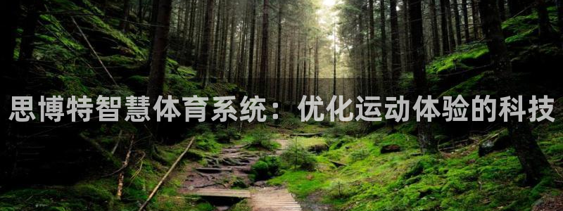 必一体育下载意思：思博特智慧体育系统：优化运动体验的科技