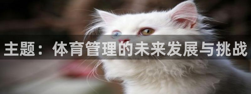 必一体育在哪下：主题：体育管理的未来发展与挑战