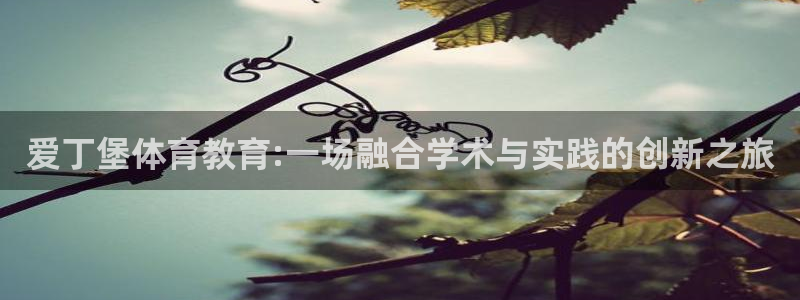 必一体育app官方正