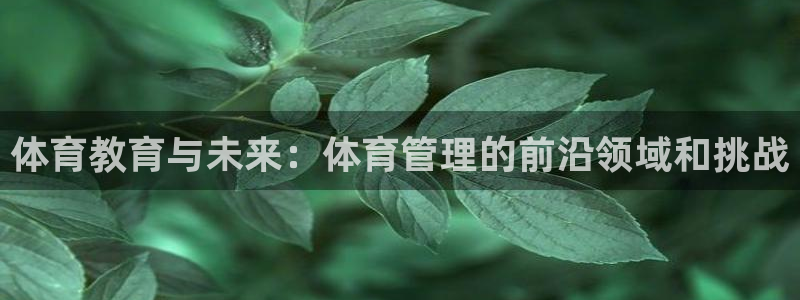 必一体育官网ios下