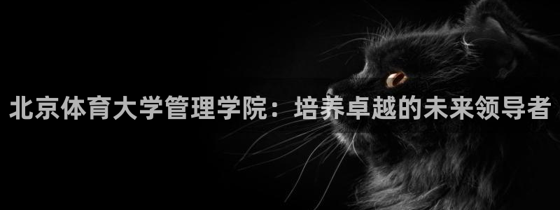 必一体育能提现大金额