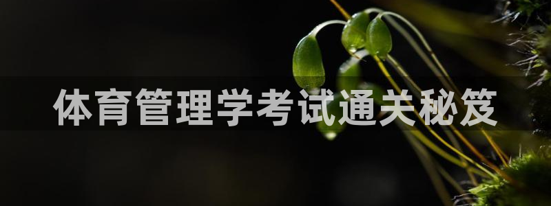 必一运动官网装机吧