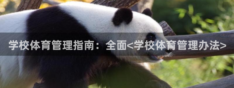 必一体育sport网页版