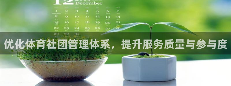 必一体育运动官网：优