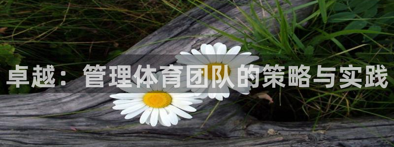 氵必一一厂一：卓越：