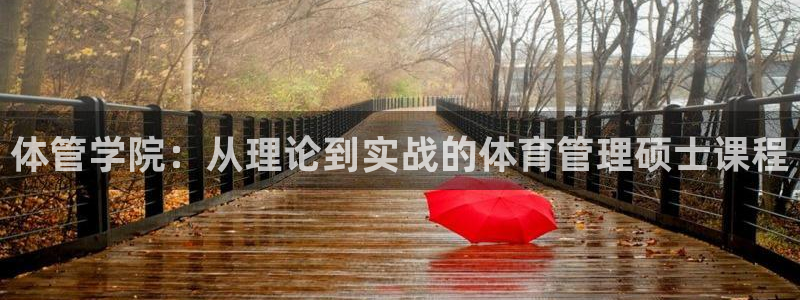 必一体育验证码：体管