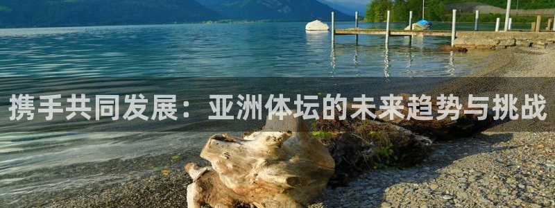 必一体育sport网