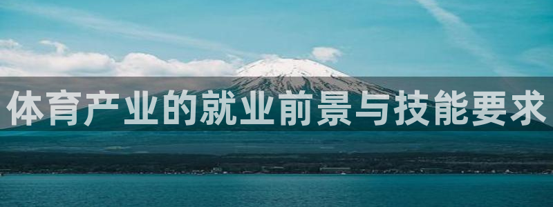 必一体育最新官网入口