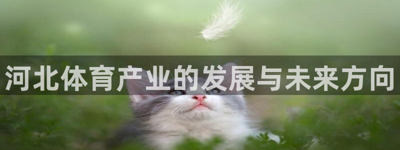 必一运动·体育：河北