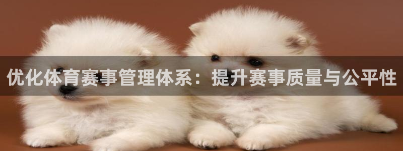 必一体育手机下载：优