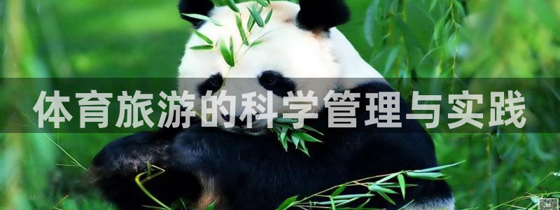 必一体育官网app