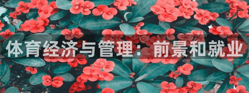 必一运动体育