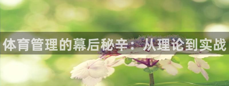 必一体育官方入口
