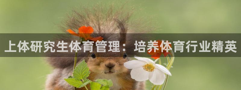 必一体育sport装机吧