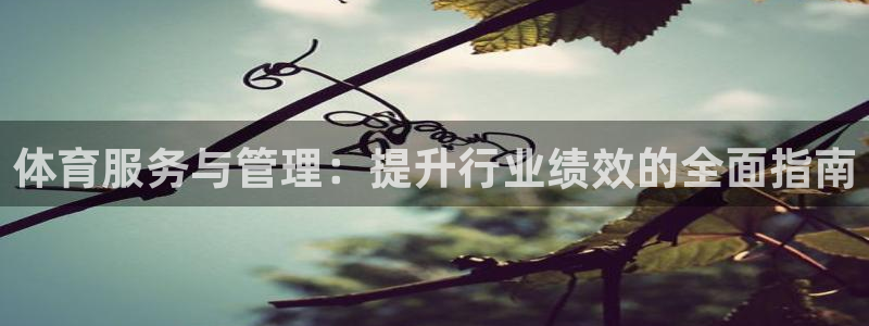 必一体育下载登入：体