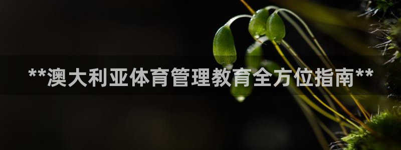 必一体育sport：