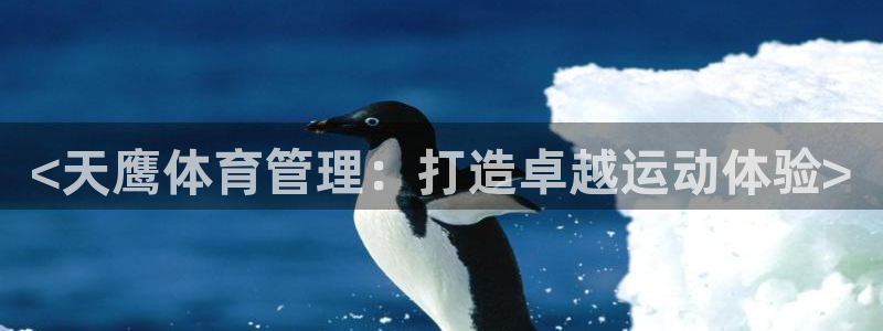 b体育必一下载：<天