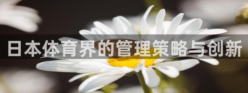 必一体育登陆
