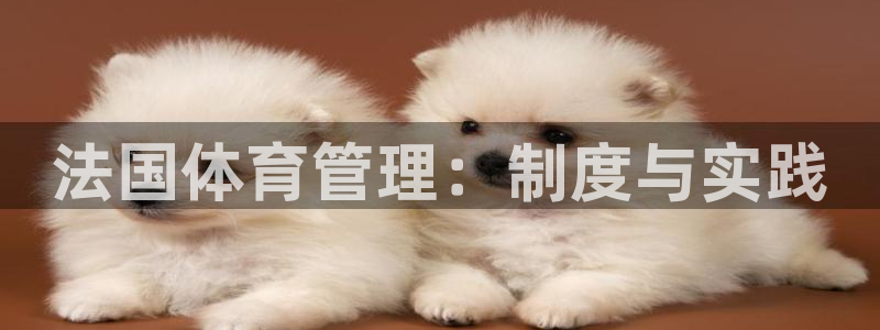 必一体育在哪下：法国