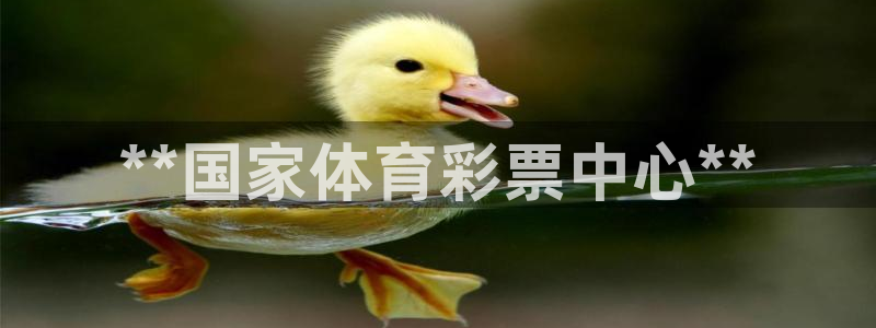 必一运动 b 体育素