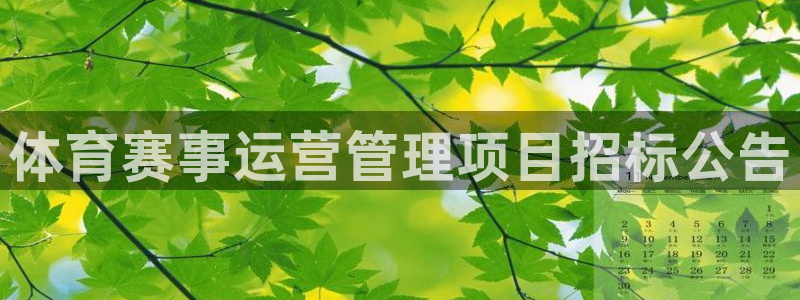 必一体育sport官方网站