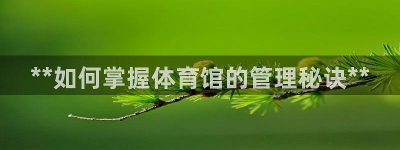 必一体育登录入口APP