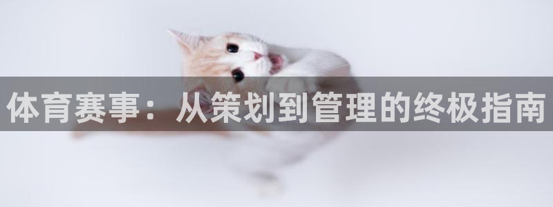 必一体育官方下载入口