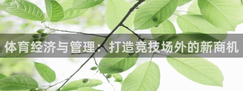 必一运动：体育经济与
