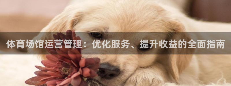必一体育sportB
