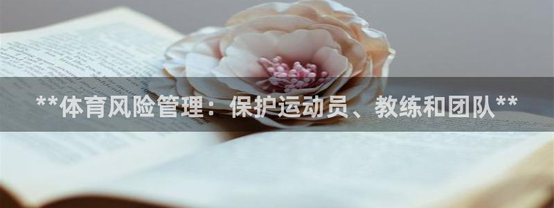 必一体育电子app：