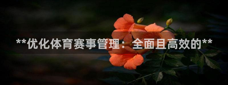 必一体育app下载安