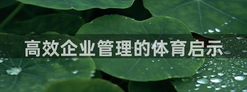 必一体育官网app