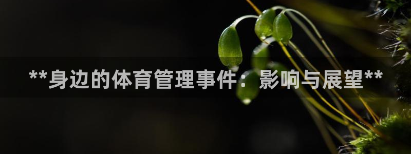 必一体育下载app下