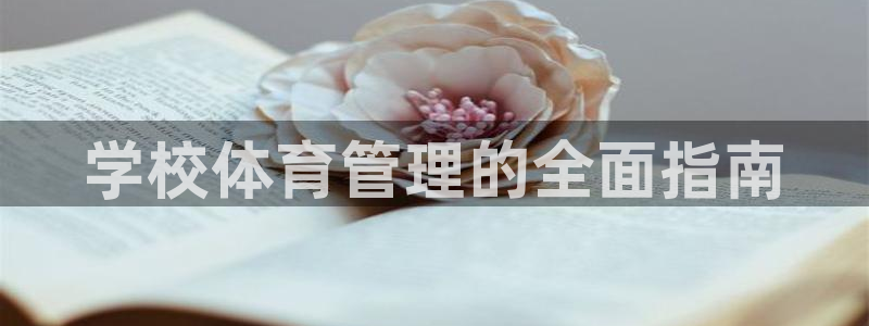 必一体育下载app下载